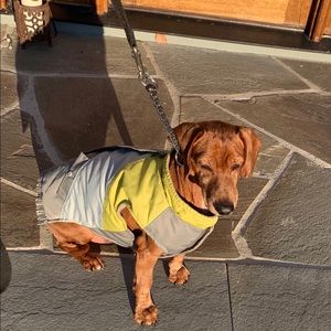 Meet your Posher, Ella